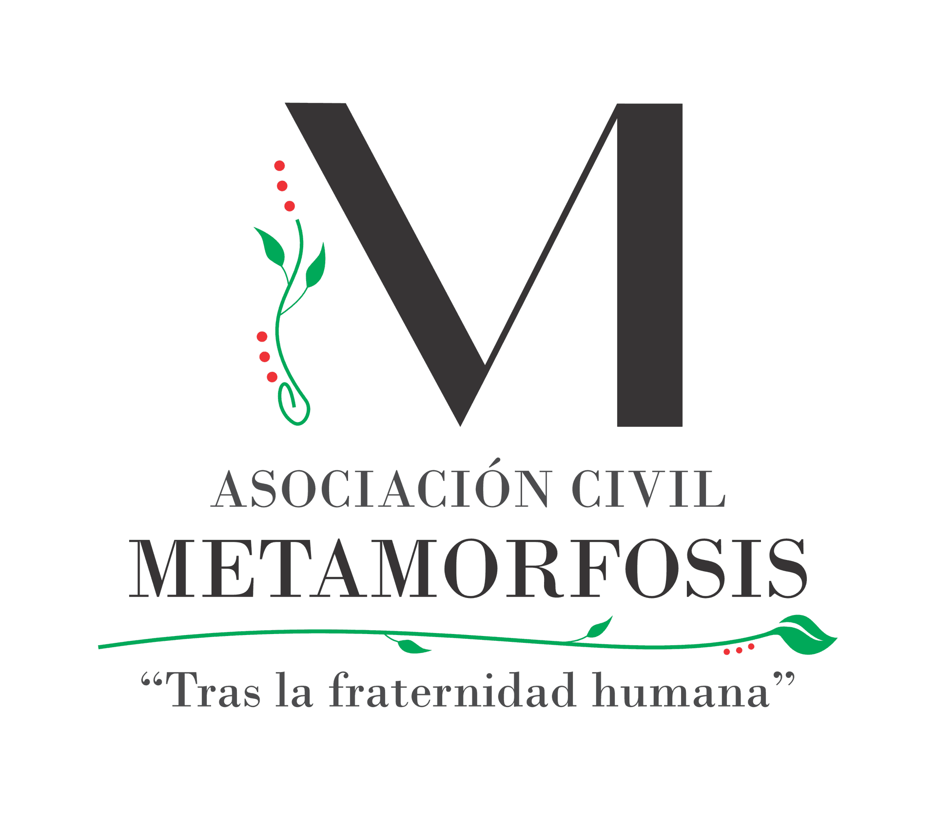 Logo Asociacion Civil Metamorfosis